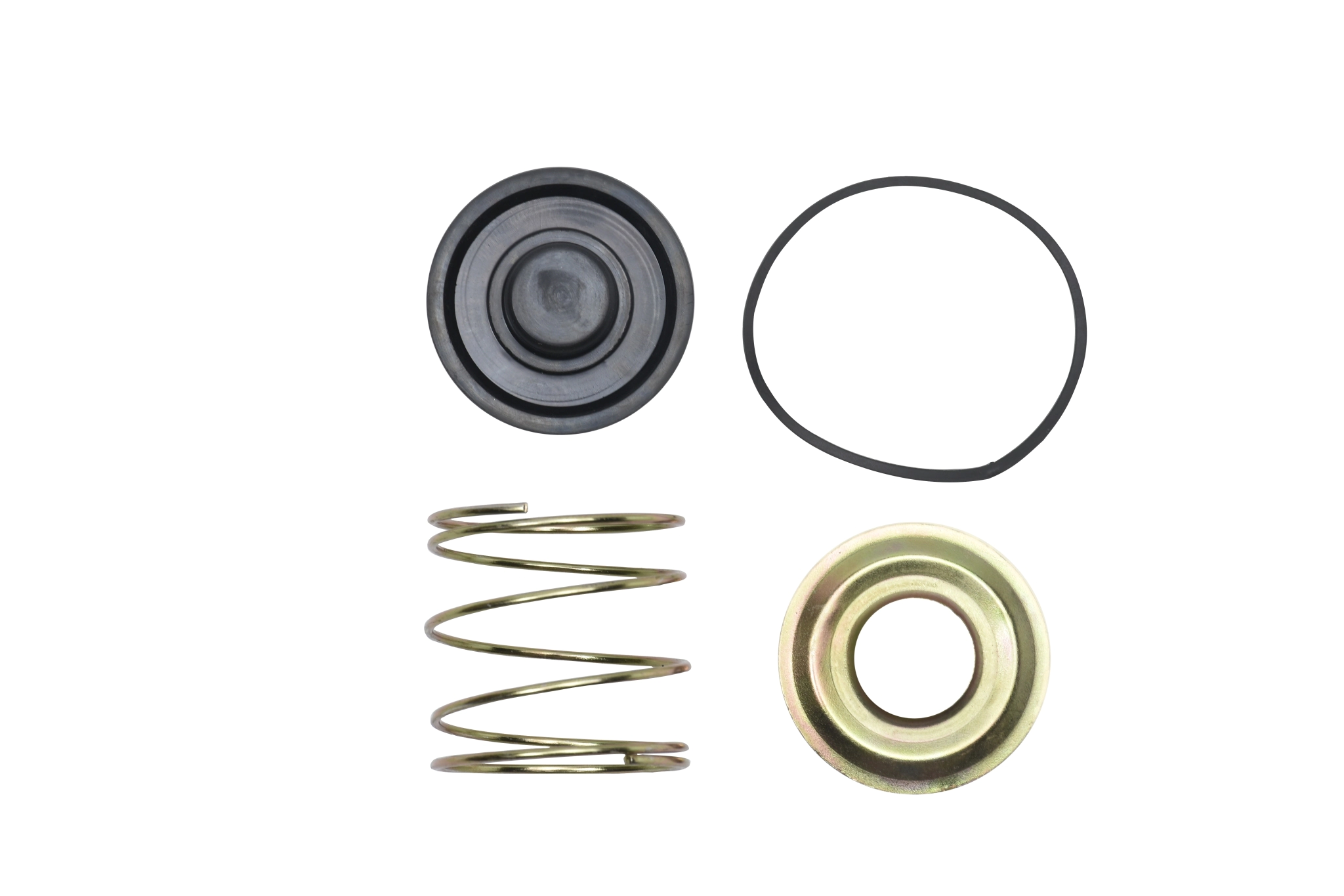 KIT DE REPARACION DESCARGA RAPIDA RG R1660 UNICA