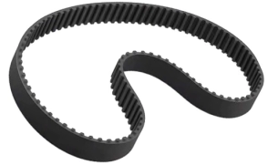 CORREA PK POLY-V 1550mm 10 CANALES