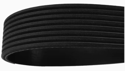 CORREA PK POLY-V 1615mm 8 CANALES