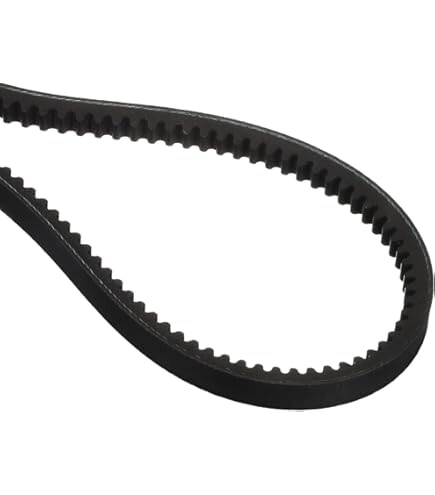 CORREA DOBLE B DENT 81 inches -