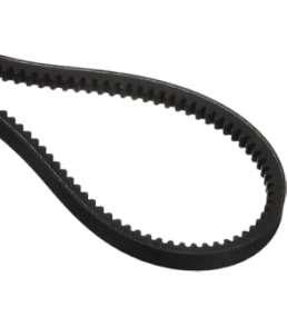 CORREA DOBLE B DENT 81 inches -