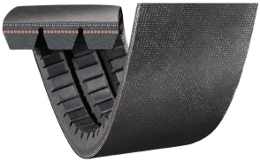 CORREA DOBLE B DENT 82 inches -