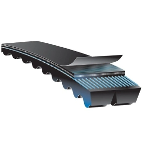 CORREA DOBLE B DENT 84 inches -