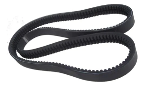 CORREA DOBLE B DENT 85 inches -