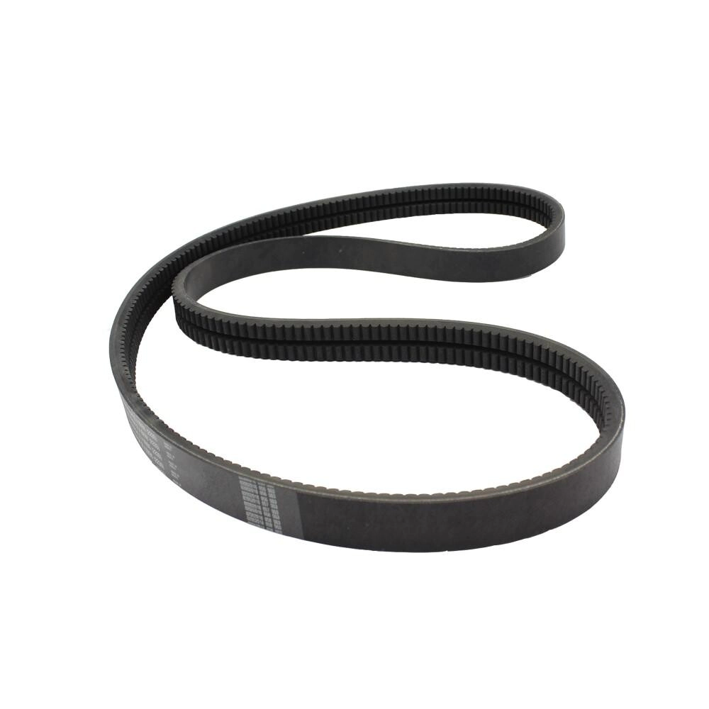 CORREA DOBLE B DENT 86 inches -