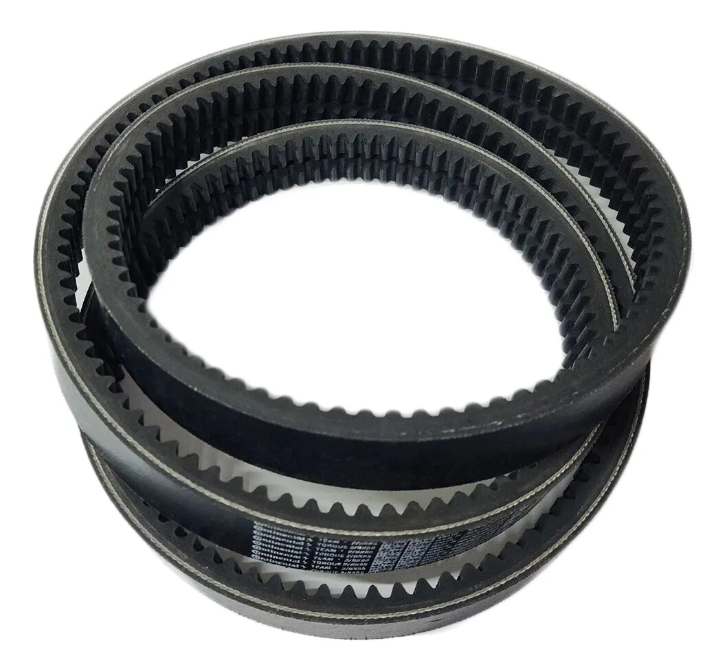 CORREA DOBLE B DENT 87 inches -