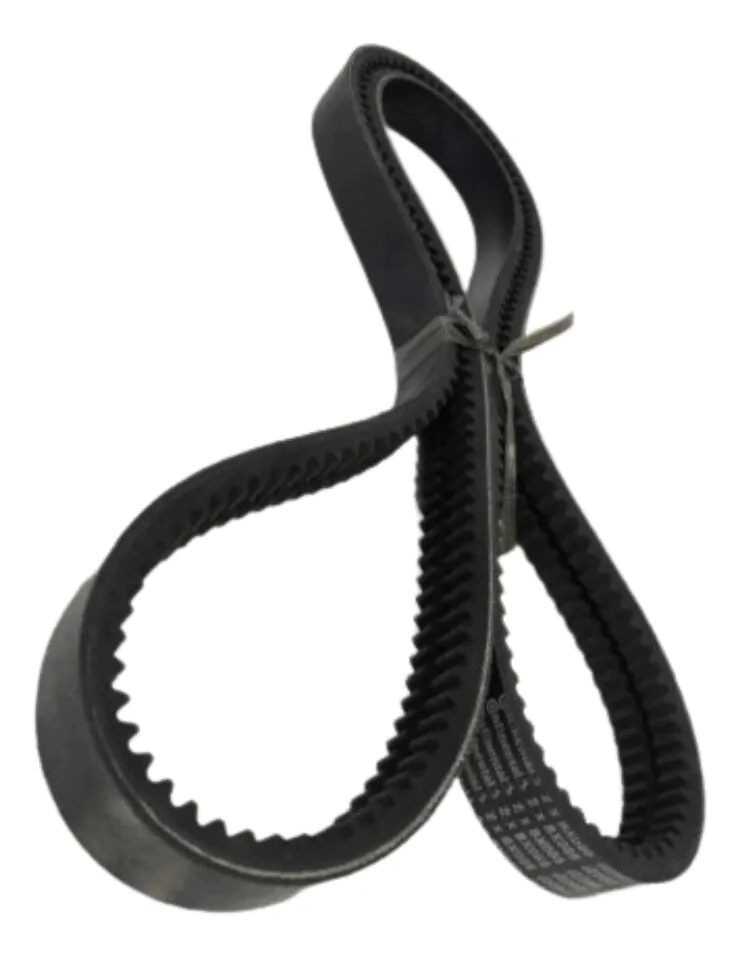 CORREA DOBLE B DENT 88 inches -