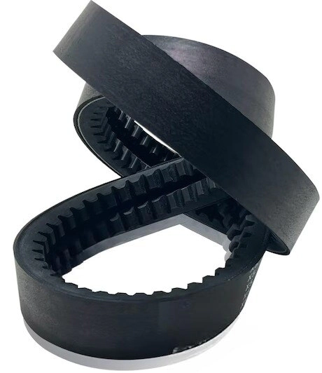 CORREA DOBLE B DENT 89 inches -