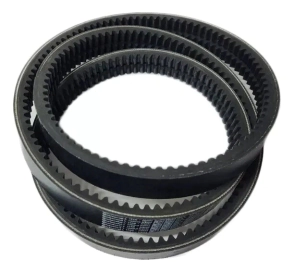 CORREA DOBLE B DENT 92 inches -